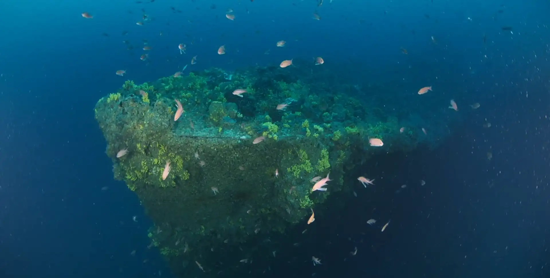 Midilli / SMS Breslau @ Gallipoli Historical Underwater Park