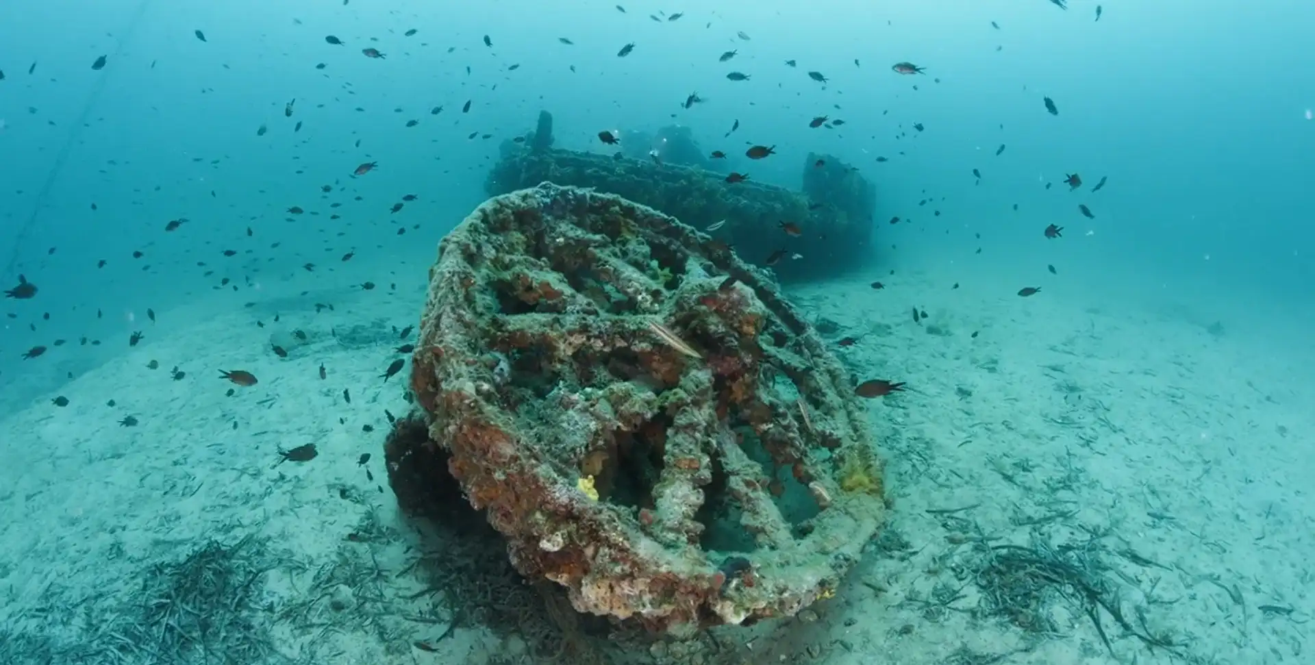 Helles Barges @ Gallipoli Historical Underwater Park